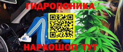 скорость Краснознаменск