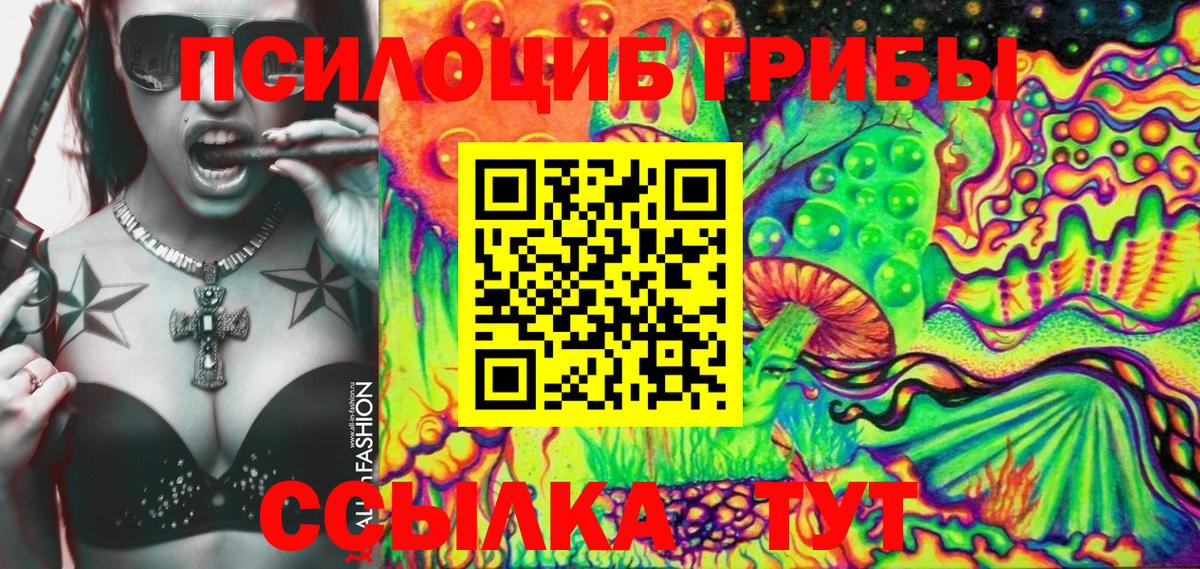 Псилоцибиновые грибы Cubensis Городец